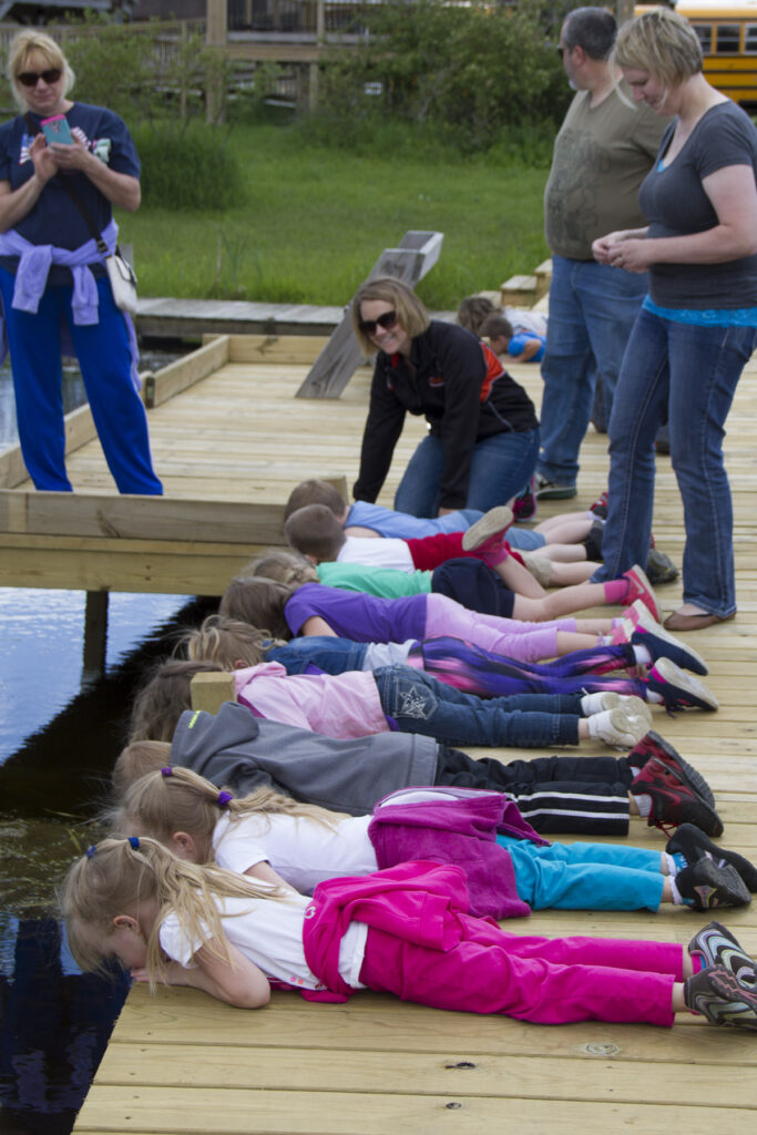 Class learning about water creatures.