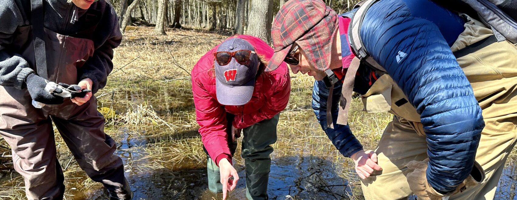 Citizen Scientists digging in!