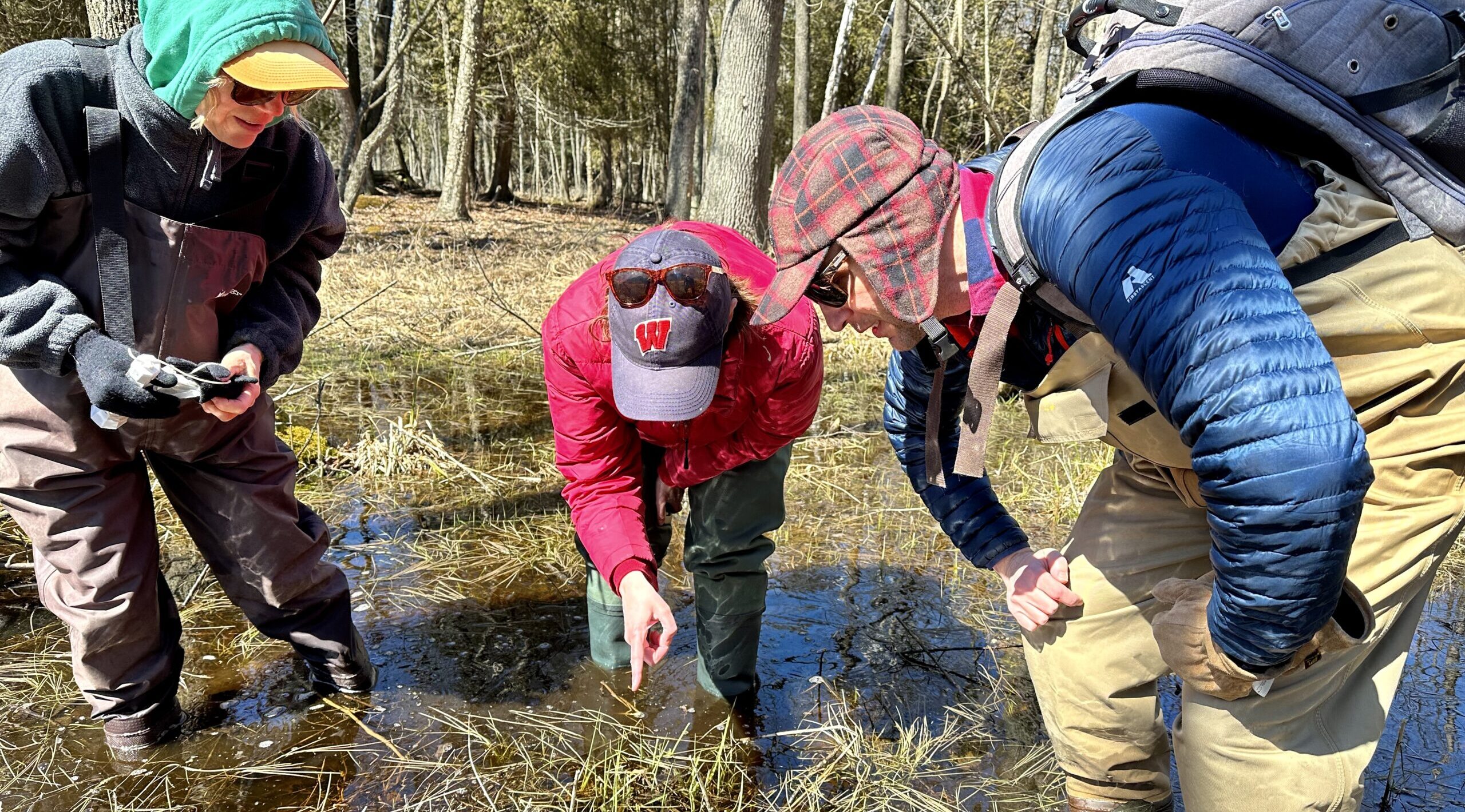 Citizen Scientists digging in!