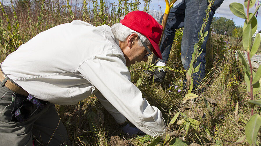 Volunteering in the nature preserve.