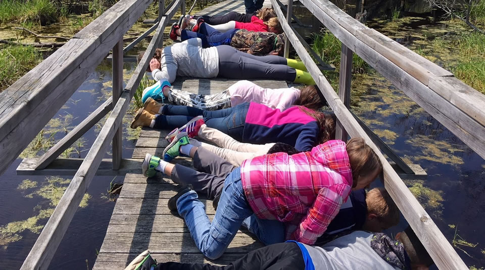 Kids on the trail peering into the wetlands from a bridge.