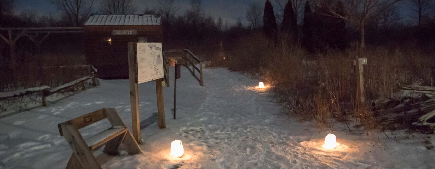 Luminaries on the Willow Trail