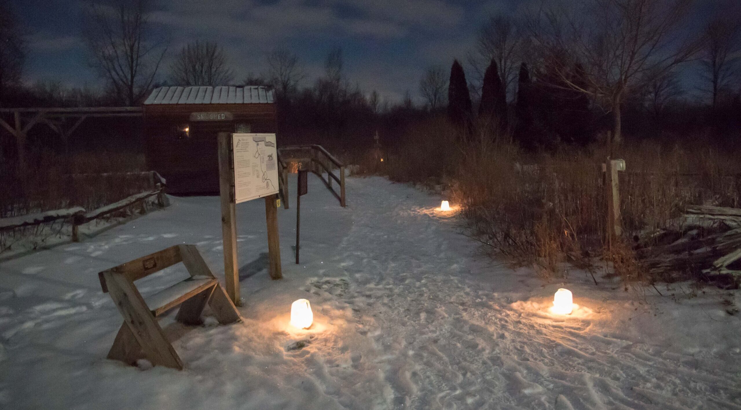 Luminaries on the Willow Trail