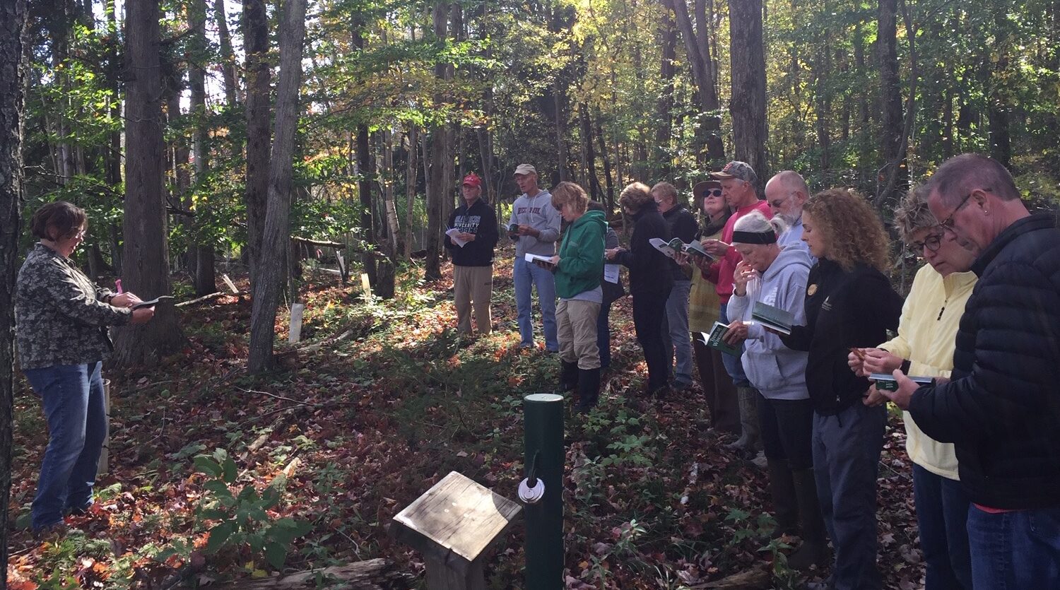 Group of adults on educational nature hike