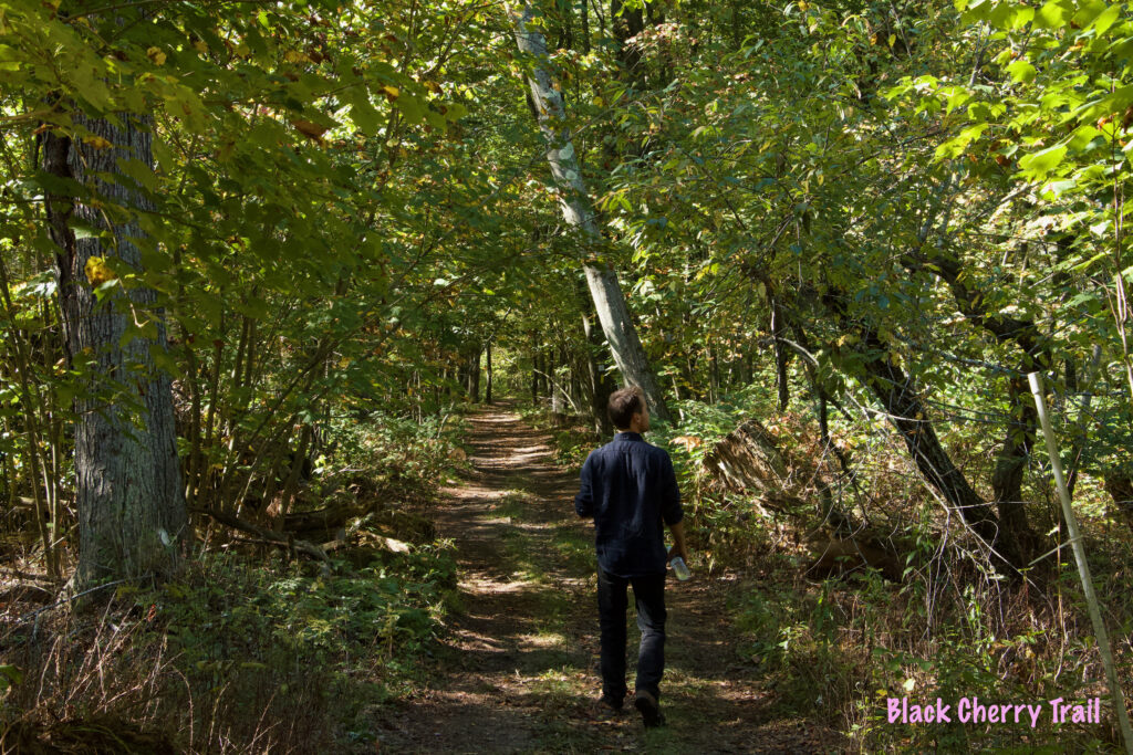 Black Cherry Trail