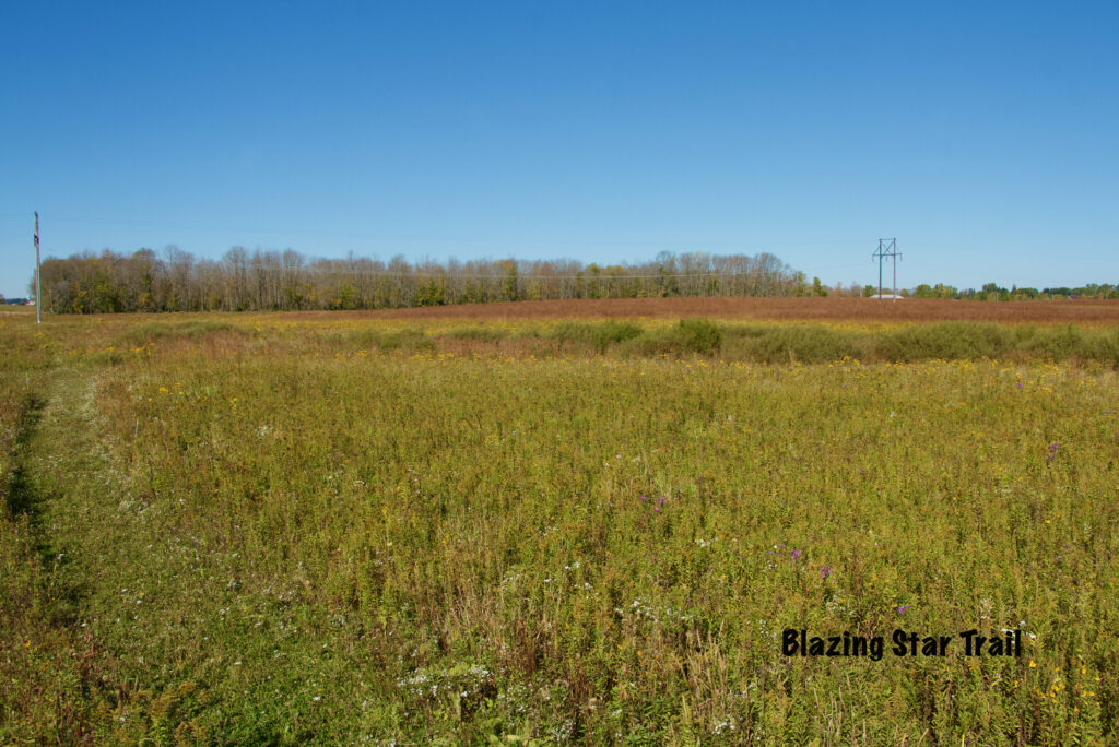 Blazing Star Trail