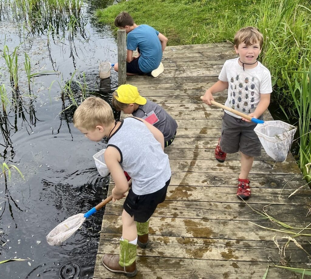 Preschool campers scooping in the pond