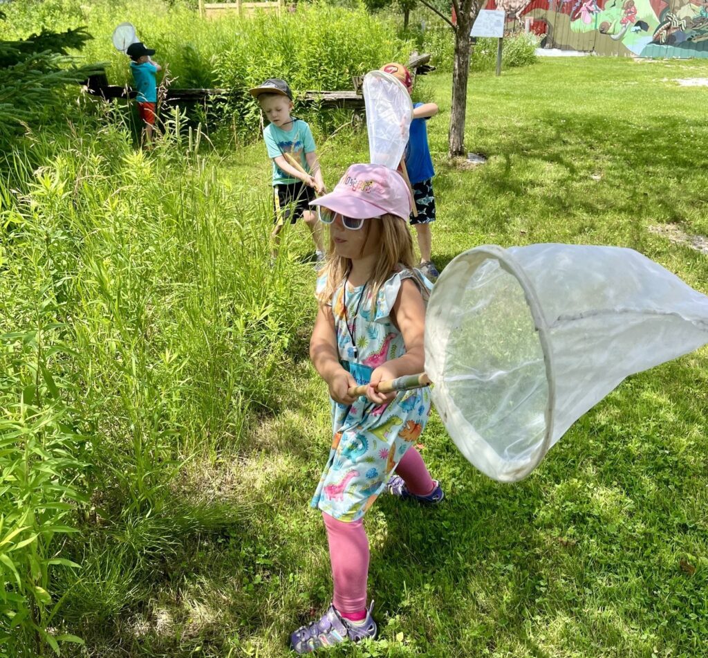 Preschooler using an insect net in the tall grass