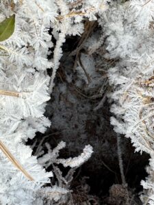 photo of hole in ground with ice crystals around the perimeter.